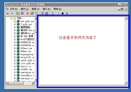 IIS 6 網站無法預覽的排查與解決方案——安全狗論壇技術交流
